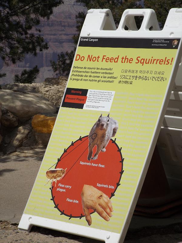 DSCF0113.JPG - Grand Canyon - Don't feed the squirrels!