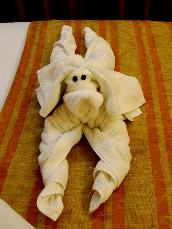 IMG_0747.JPG - Evening towel dog