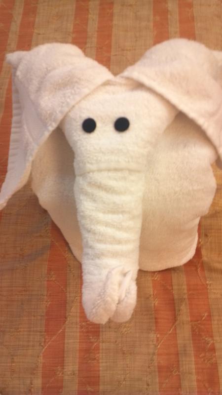 2013-01-24_23-06-23_693.jpg - Towel elephant