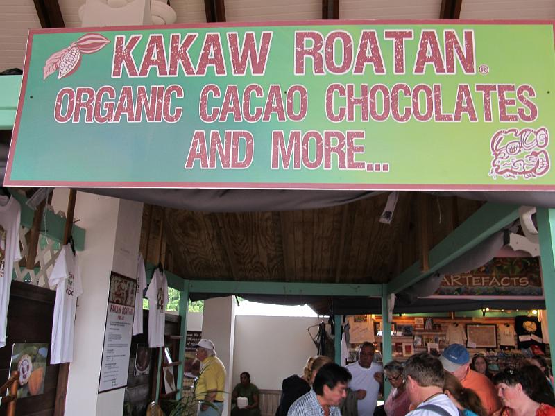 IMG_0824.JPG - Roatan Island, Honduras - Mahogany Bay  Sampled this cacao.  Outstanding!